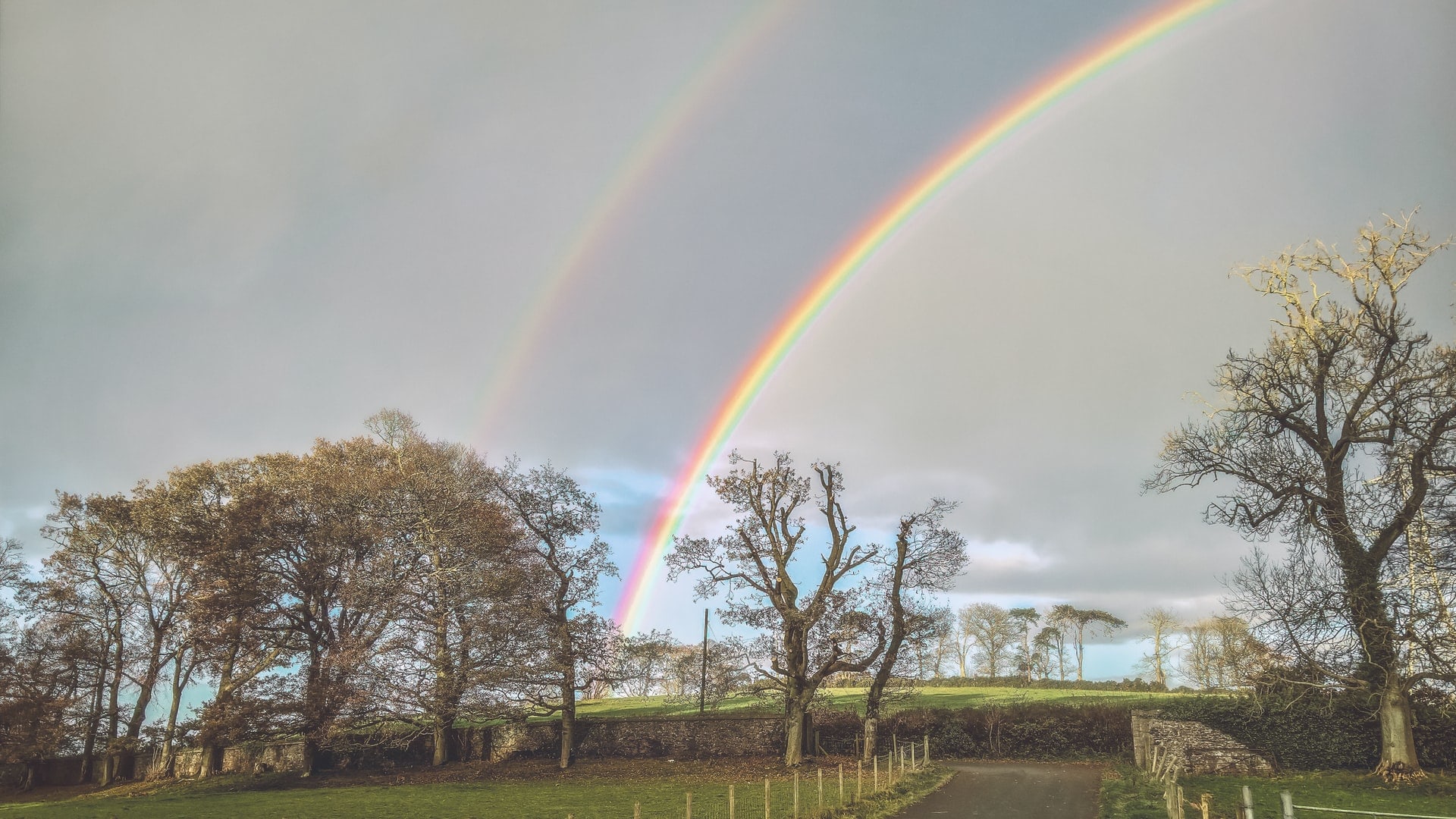 belfast rainbow pot of gold